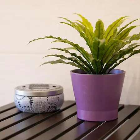 Altavilla By In Appartement *